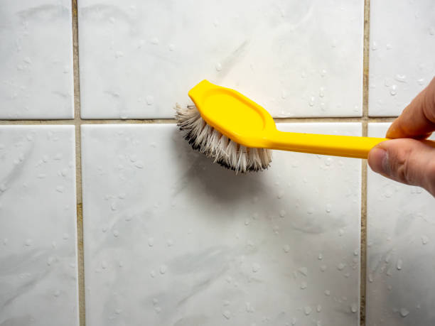 Best Emergency Mold Removal  in Elephant Butte, NM
