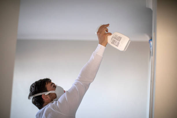 Best Home Mold Removal  in Elephant Butte, NM